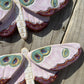 Moths