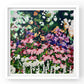 Sweetie print 50x 50cm (unframed)