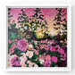 ‘A new dawn’ Framed print